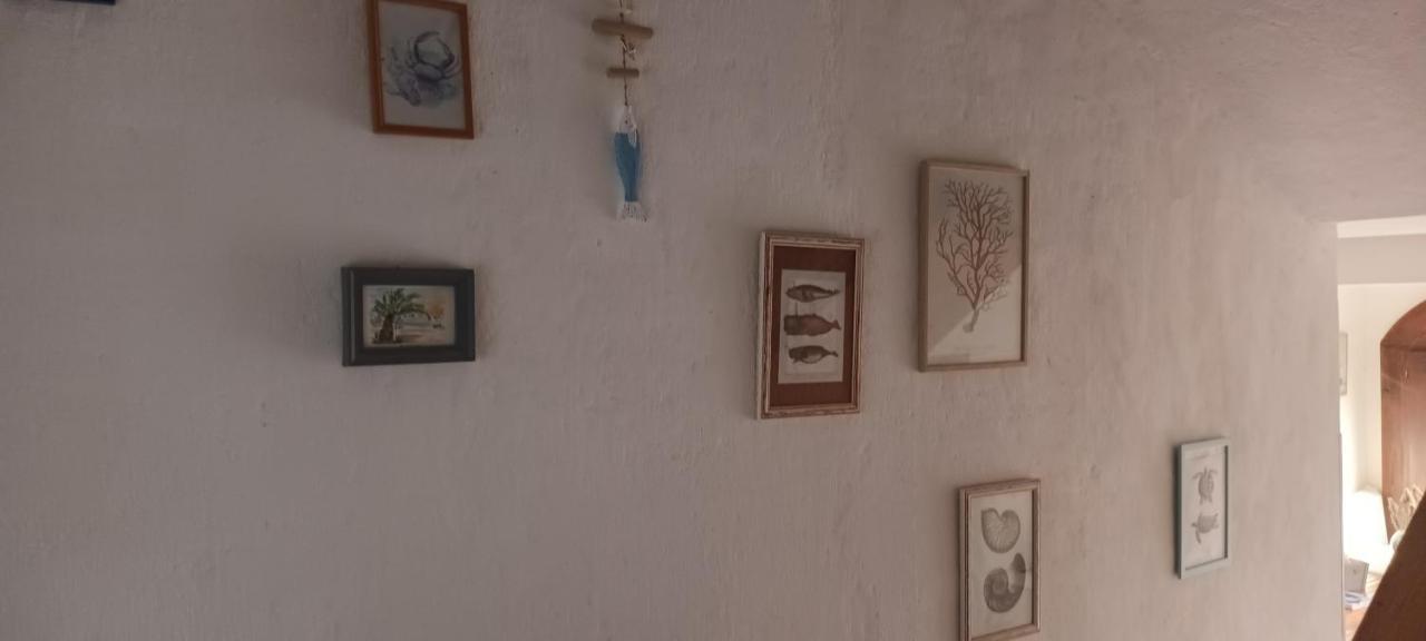 Anna Apartment Biograd Na Moru Bagian luar foto