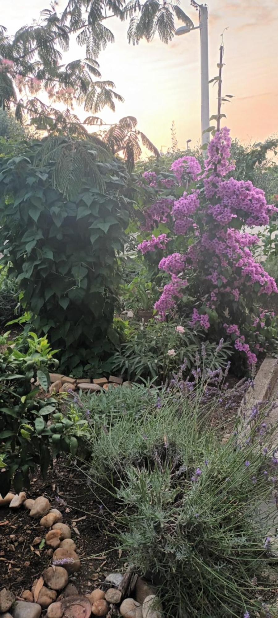 Anna Apartment Biograd Na Moru Bagian luar foto